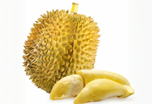 榴蓮挑選指南：怎么挑榴蓮，皮薄肉多的優(yōu)質(zhì)